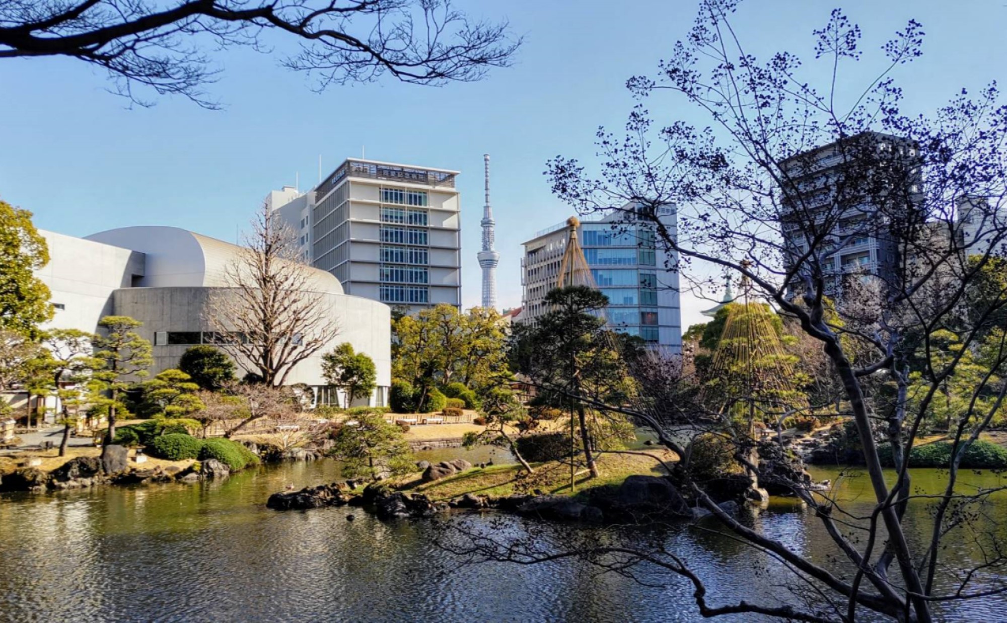 Best Winter Festivals and Illuminations Near Tokyo