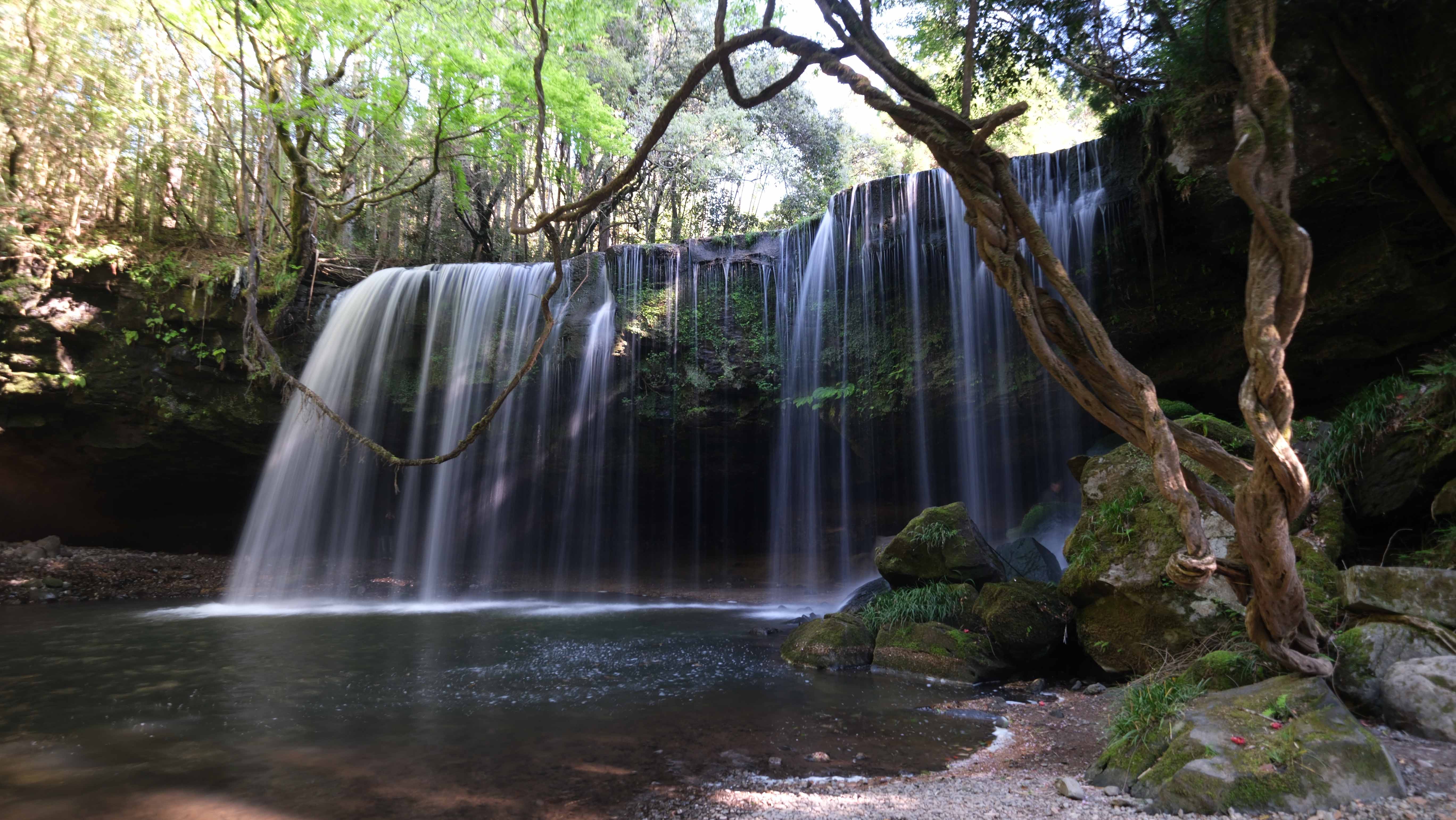 Looking for hidden gems or hiking spots near Tokyo, any suggestions?