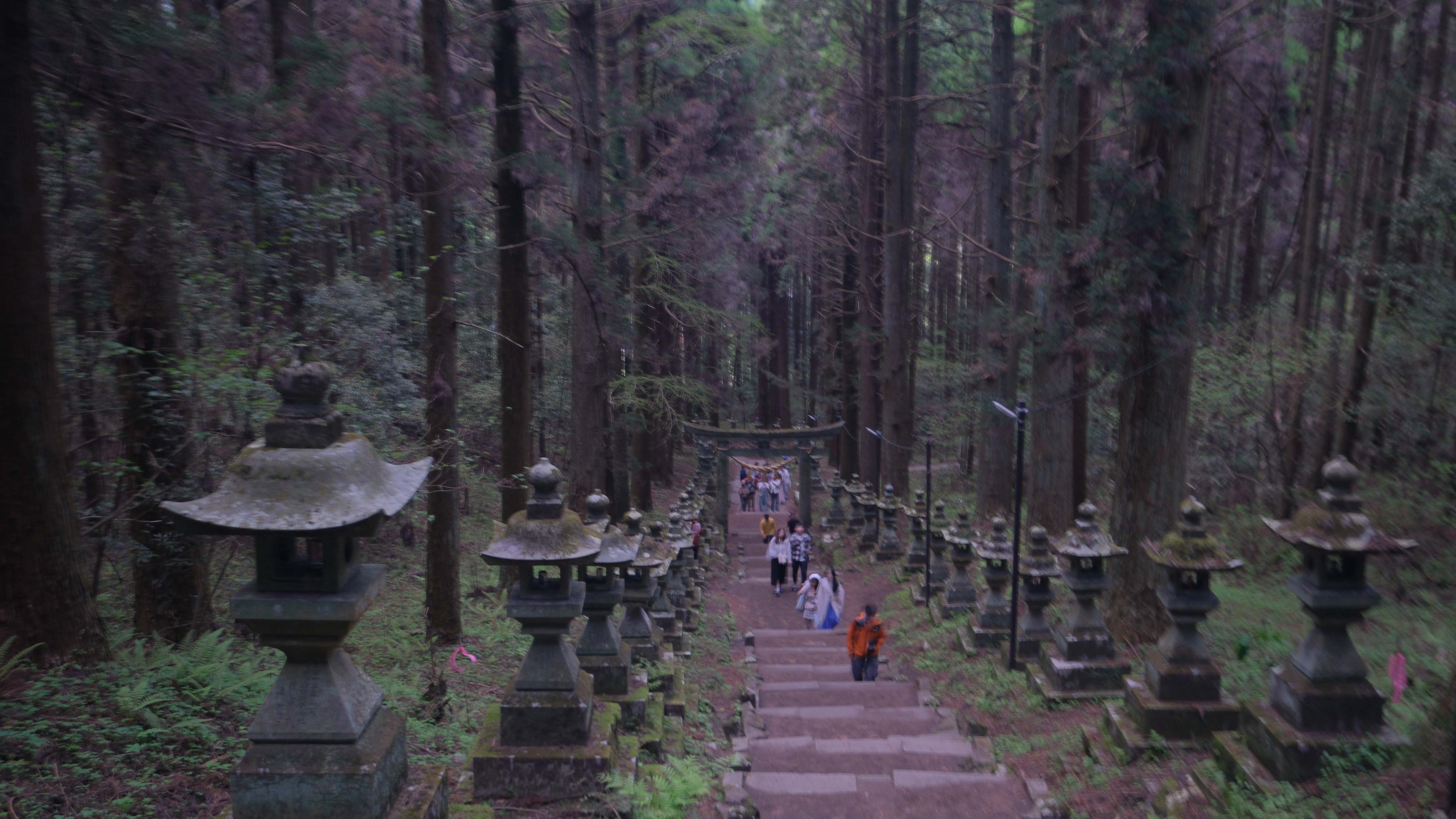 How to Visit Meiji Shrine in Tokyo