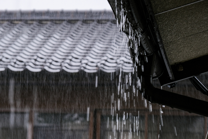 What to Do in Tokyo on Rainy Days
