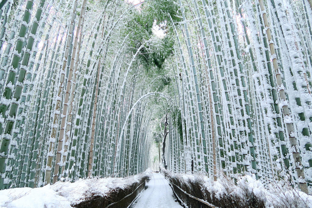 Any suggestions for a family-friendly ski resort near Tokyo?