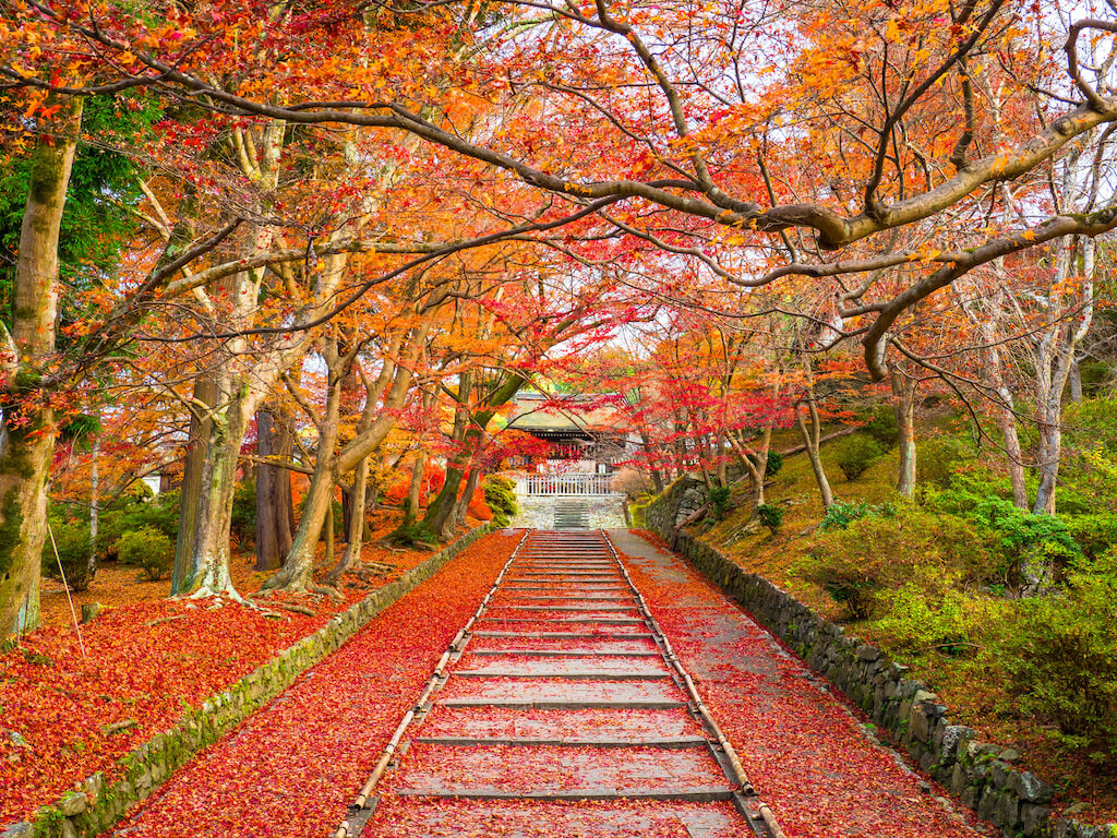 Where Are the Best Antique Markets in Tokyo?