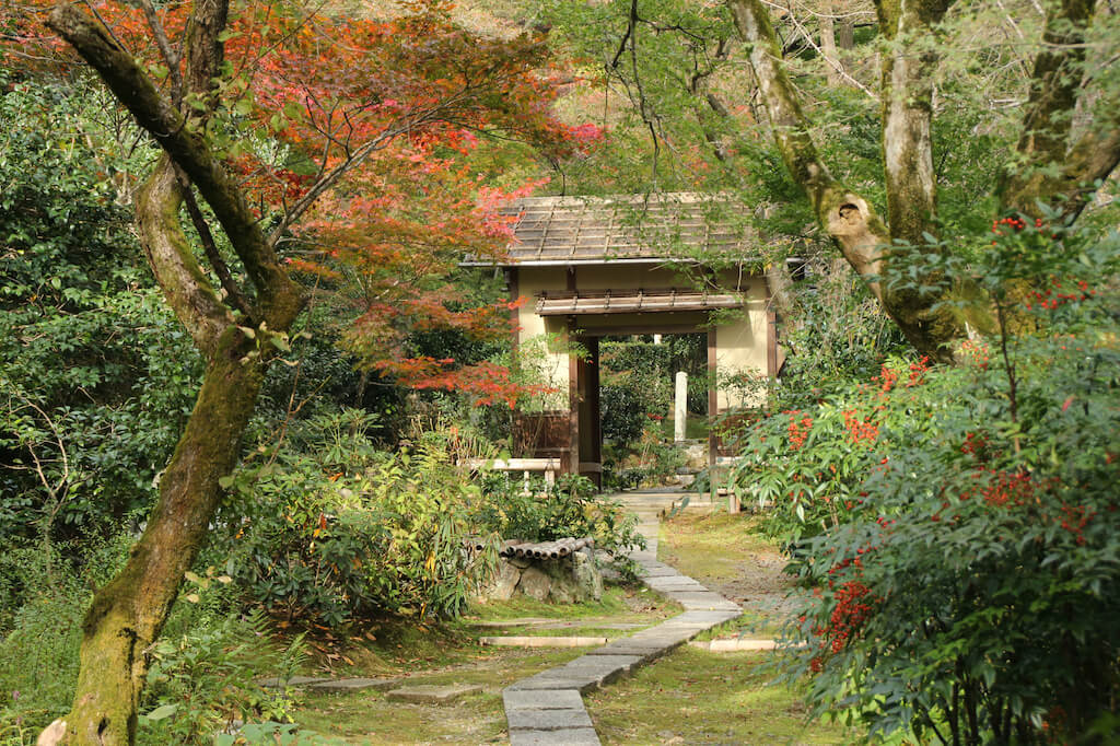 Where Can I See Koi Fish in Tokyo?
