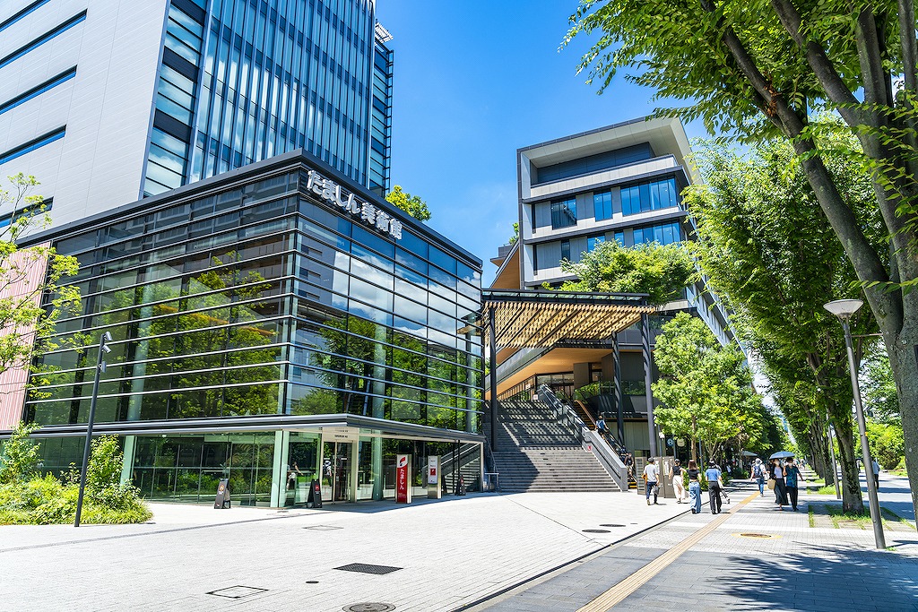 Are There Bugs and Mosquitoes in Tokyo?