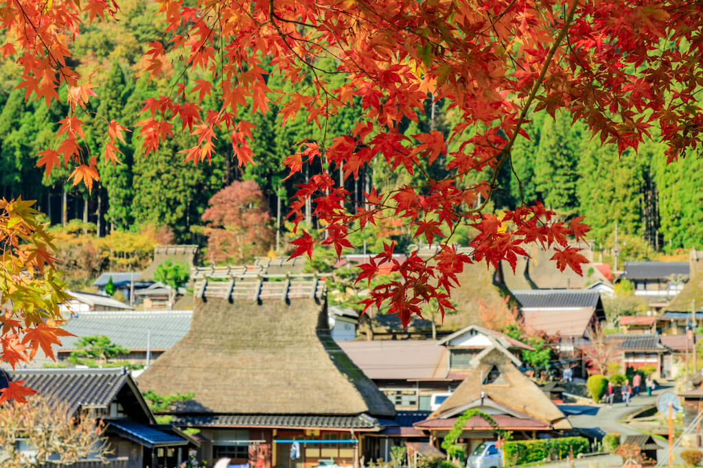Which is better for 1 night: Kanazawa or Takayama after Shirakawago?